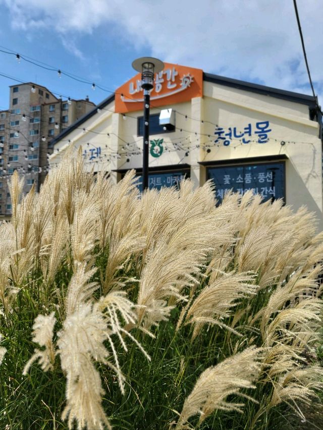 거제도 청년들의 꿈이담긴 내꿈공간✨️