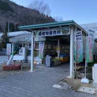 兵庫県冬場！道の駅フレッシュ朝来は「甘い！長い！太い！幻の岩津ねぎ」推しがすごすぎる