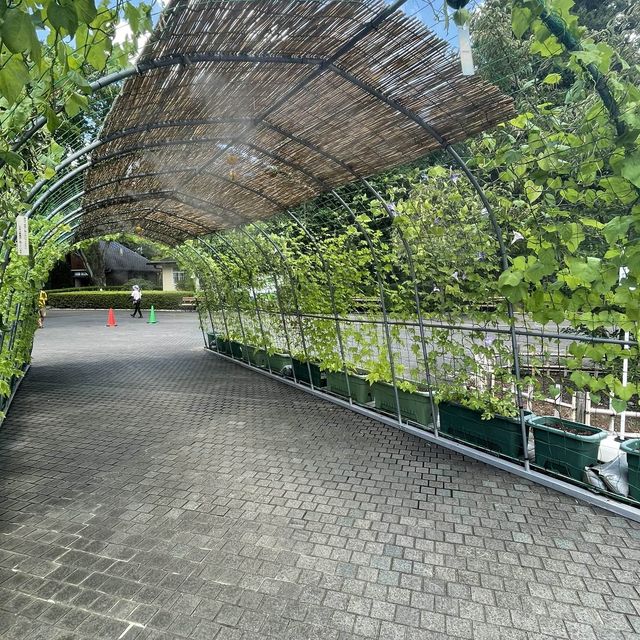 江戸東京たてもの園