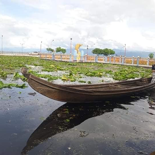 Indawgyi lake 🦢 🦅 