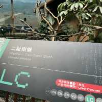 全新動物展館「樹懶與好友」