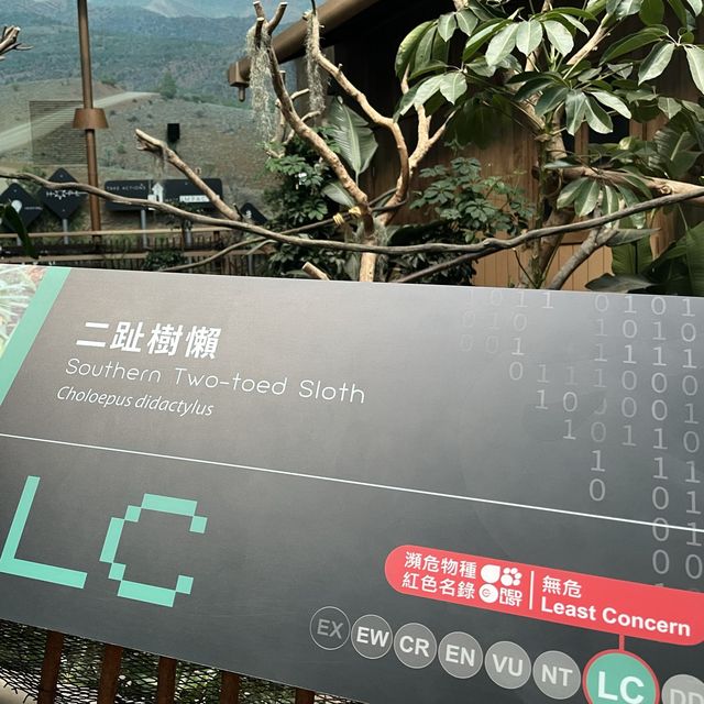 全新動物展館「樹懶與好友」