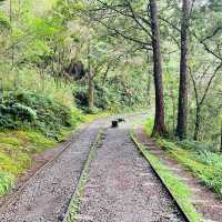 Take a trail stroll! 
