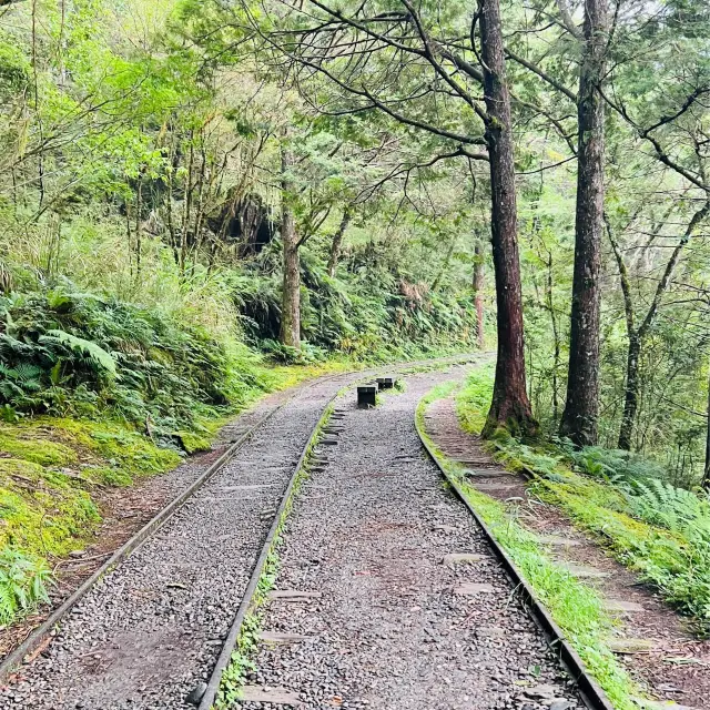 Take a trail stroll! 