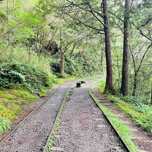 Take a trail stroll! 