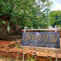 ประตูแห่งกาลเวลา วัดพระงาม