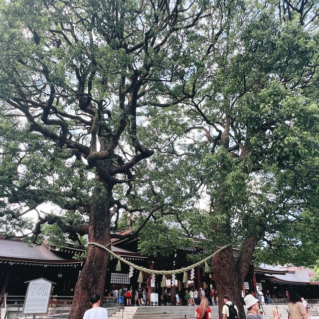 Meiji Jingu Shrine