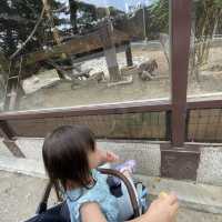 親子旅遊｜高雄｜壽山動物園· 室內遊樂場·六合夜市