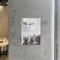 범을 주제로 한 도예 전시🐅🐅🐅