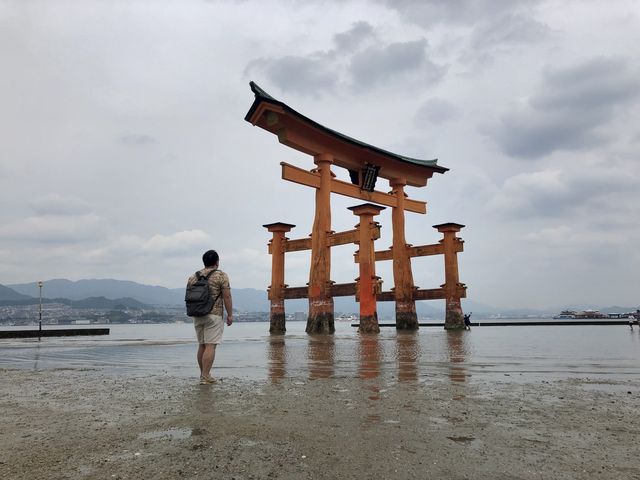 日本宮島｜必到打卡位海上大鳥居