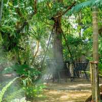  Care Na Cafe' Phitsanulok 