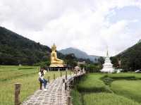 สักการะพระเจ้าต๋นหลวงกลางทุ่งนา @วัดนาคูหา จ.แพร่