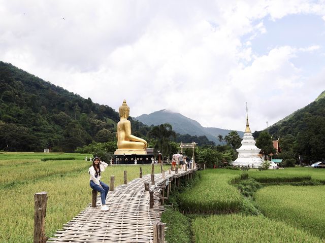 สักการะพระเจ้าต๋นหลวงกลางทุ่งนา @วัดนาคูหา จ.แพร่