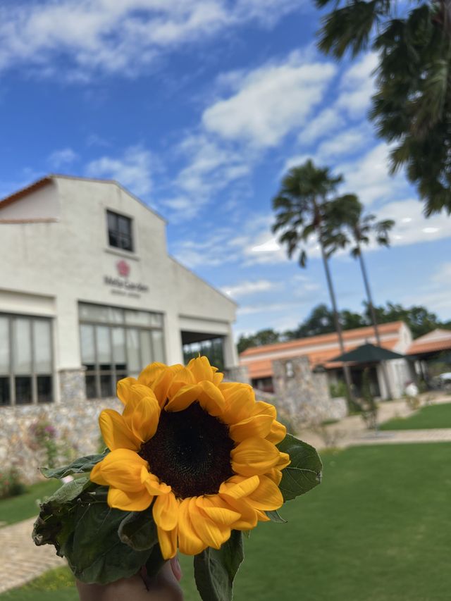 𝑀𝑒𝑙𝑎 𝐺𝑎𝑟𝑑𝑒𝑛 𝑆𝑎𝑟𝑎𝑏𝑢𝑟𝑖