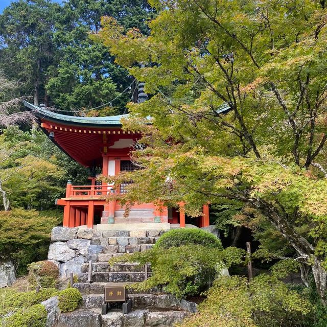  🎌禪意浸潤的日式寺院🎌 醍醐寺🎌