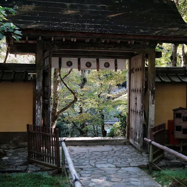 🌸🍵 寶光院～禪意與和諧的日式庭院🌸🍵