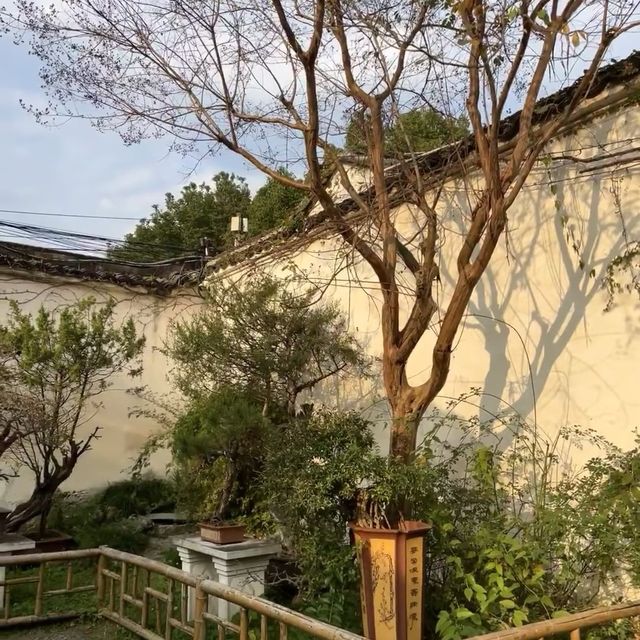 三湘庭 🌺🏯嶺南庭院的花香🌳💐