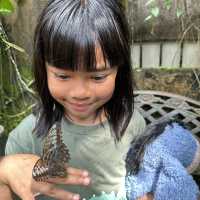 Best experience for reptiles lover!