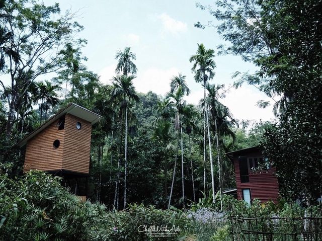 บ้านในหมง จ.ระนอง : บ้านริมลำธาร กลางป่า 🌳 