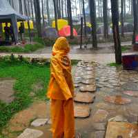 Alas veenuz in Mojokerto 