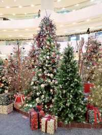 🎄太古廣場🎄奇幻森林