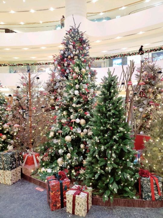 🎄太古廣場🎄奇幻森林