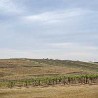 Sip wine & admire views at Hunter Valley