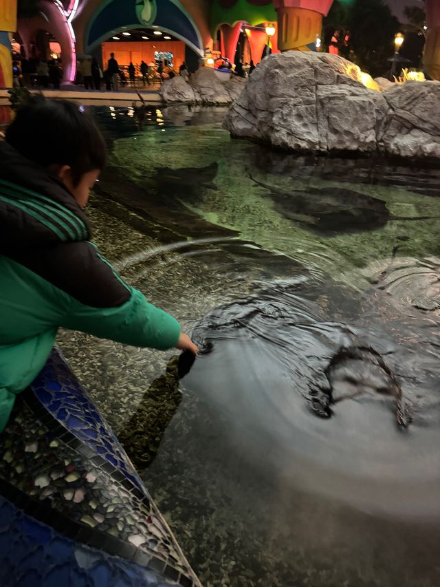 2 日1 夜豪玩食攻略 · 過來人分享珠海海洋王國點玩攻略