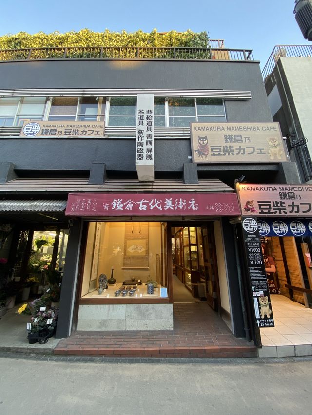 鎌倉歩いて楽しい小町通り 鎌倉歩いて楽しい小町通り