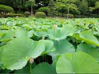 Chiba Park 