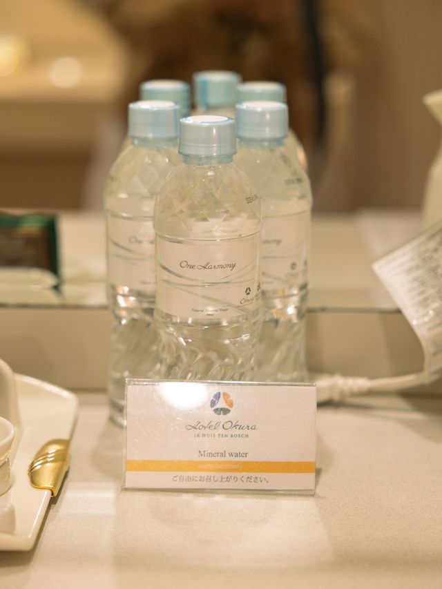 【長崎】専用クルーズでハウステンボスに入れる！ホテルオークラJRハウステンボス