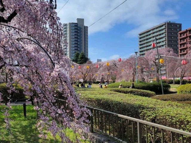 Tsutsujigaoka Park