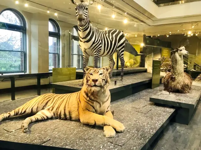 洛杉磯縣自然歷史博物館