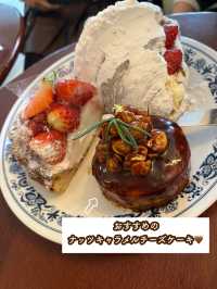 【ソウル / 弘大カフェ】 Antique Coffee ☕️🌿