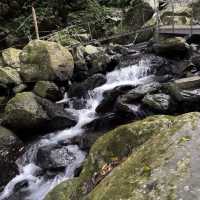 【臺北景點】陽明山國家公園：清新山區疲憊時放鬆