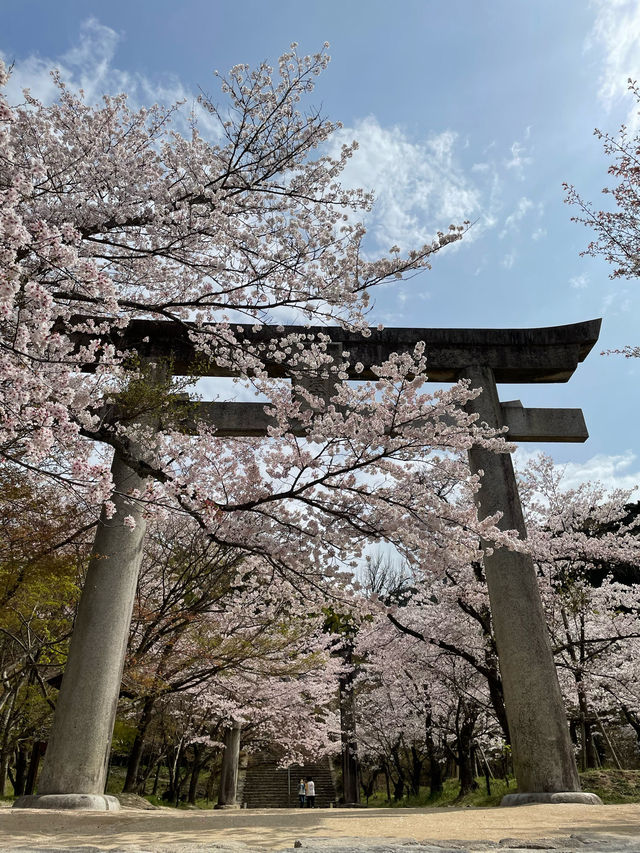 アニメでも有名になった神社