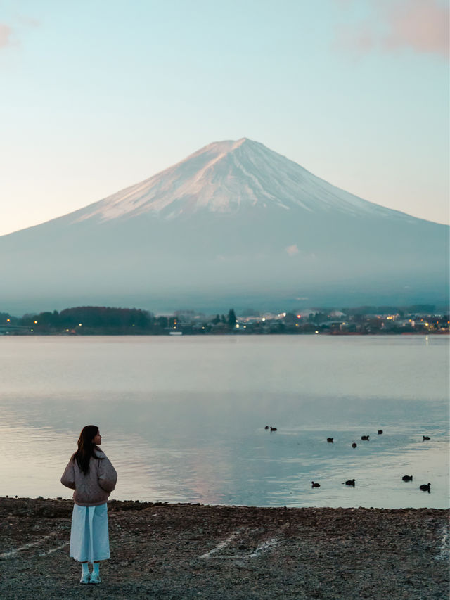 東京近郊 | 富士山