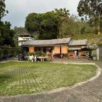 新北市三峽區好適山坡GUHill-黑糖珠珠鍋烤鬆餅