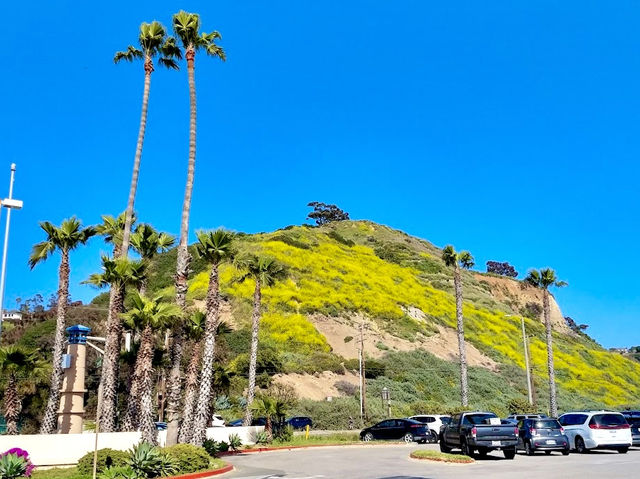 Will Rogers State Beach