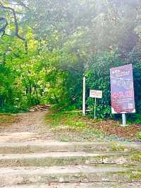 【寶登山神社/埼玉県】寶登山山頂にある存在感放つ聖地