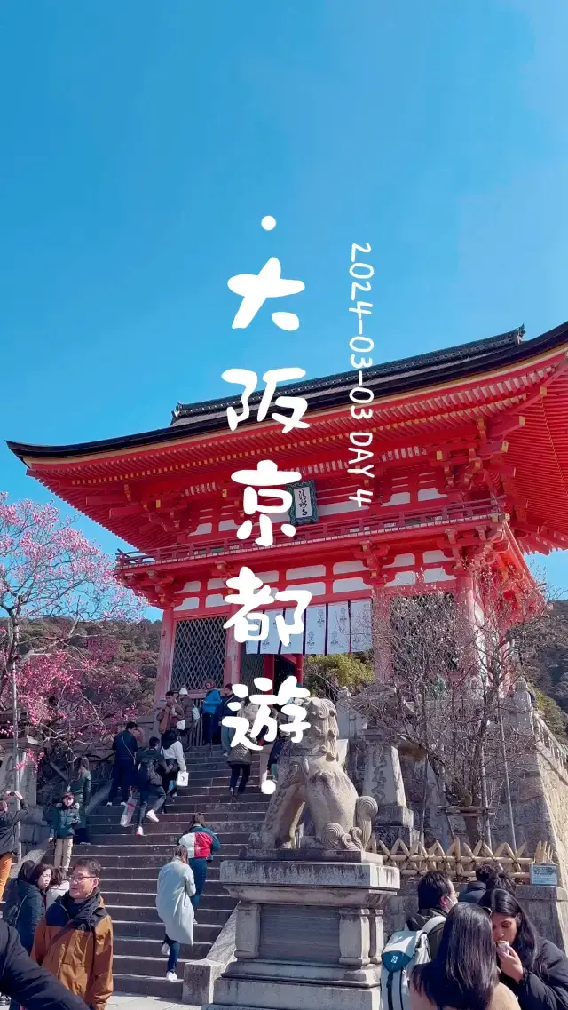 🇯🇵大阪京都遊🎏Day 4行程分享🏕️京都DOD露營初體驗💜