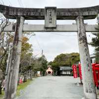 日本神社｜去柳川不要錯過這個可愛神社⛩️