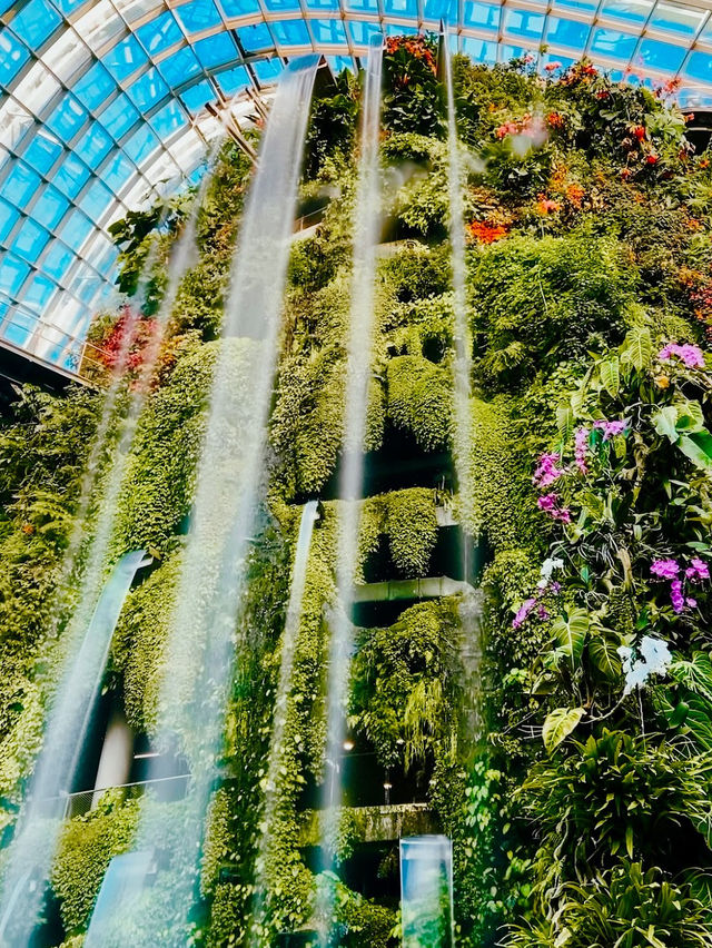 Gardens by the Bay