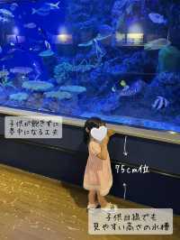たった900円？！超絶楽しい水族館