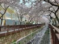 Yeojwacheon River