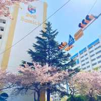 Dreamy Streets in Namcheon-Dong