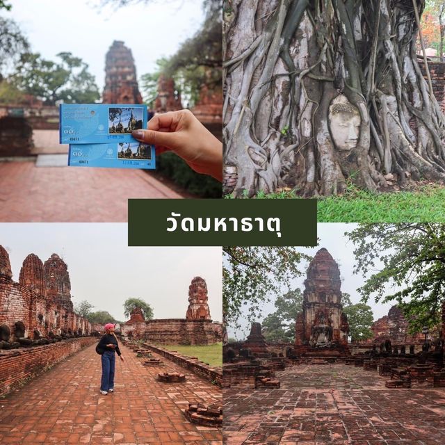 มัดรวบ 11 ที่เที่ยวอยุธยา 2 วัน 1 คืน 