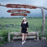 National park Baluran (Banyuwangi)