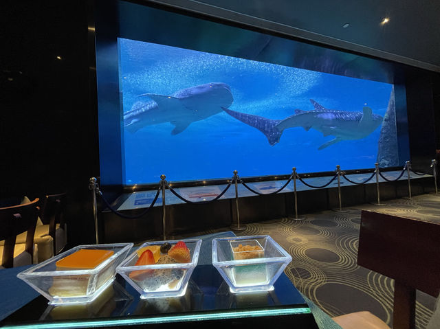 長隆海洋王國賞鯨鯊餐廳