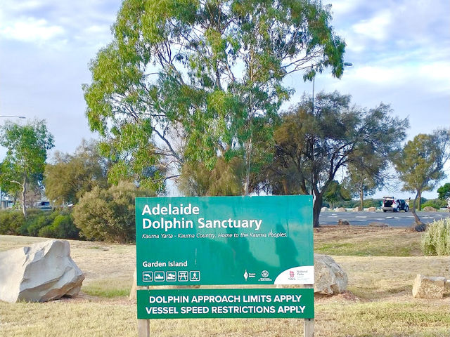 Adelaide Dolphin Sanctuary